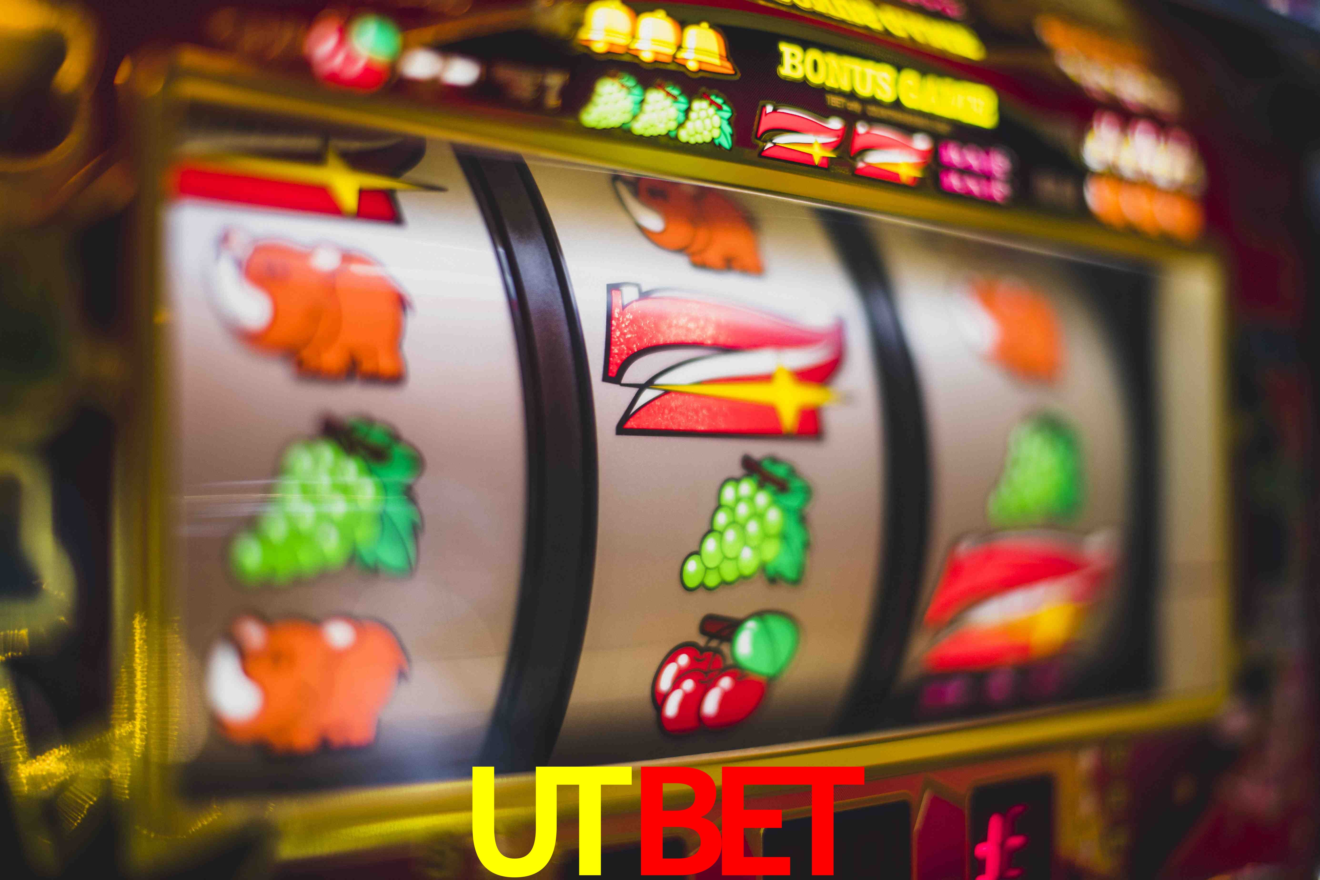Basketball Betting UTBET